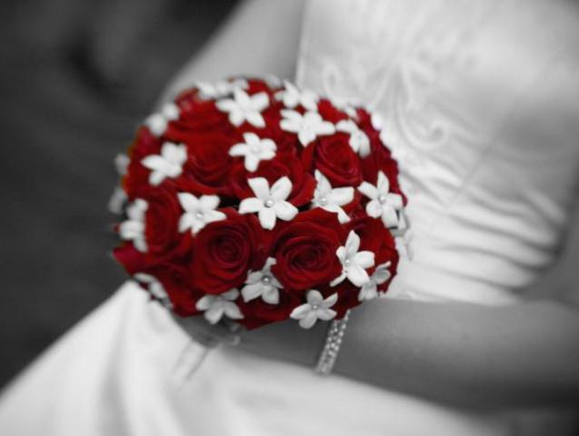kırmızı beyaz gelin çiçeği