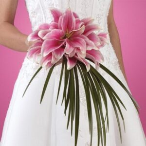 pembe zambak gelin çiçeği