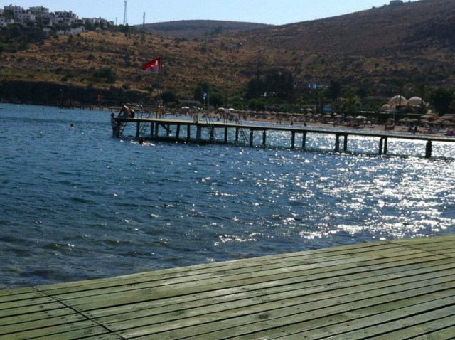 bodrum bağla