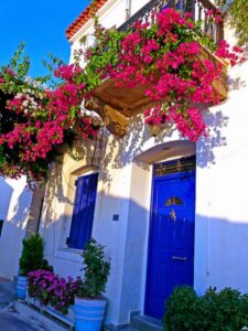 bodrum begonvilli ev