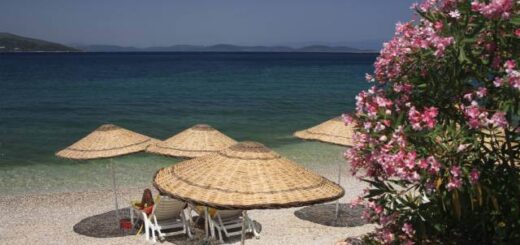 bodrum torba plaj