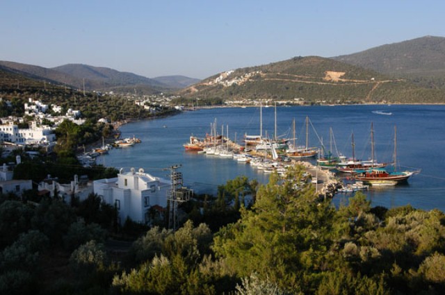 bodrum torba yat limanı