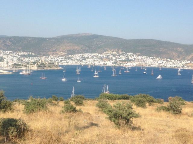 bodrum bağla