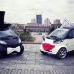 en farklı gelin arabaları