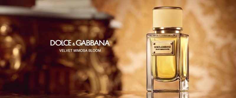 Dolce gabbana velvet mimosa bloom parfüm içeriği