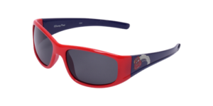 poloraid güneş gözlüğü