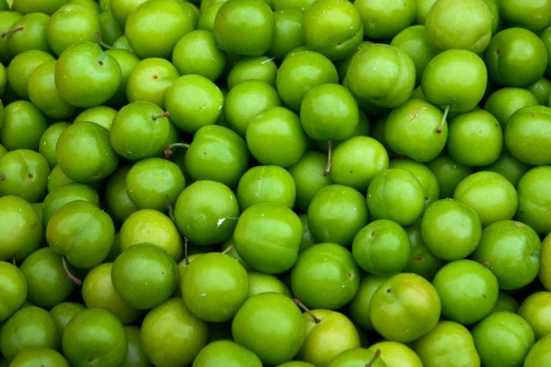 Yeşil erik kilo aldırır mı, yeşil eriğin zayıflamada etkisi