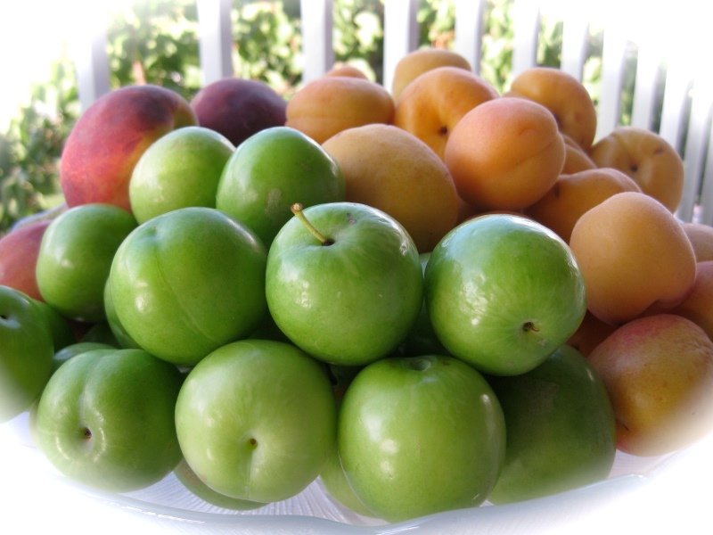 hamilelikte yeşil erigin faydaları