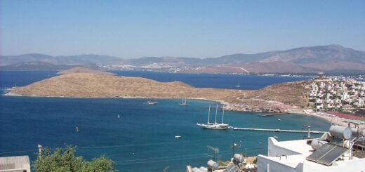 bodrum bağla