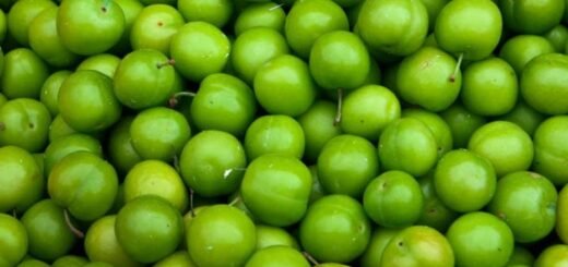 Yeşil erik kilo aldırır mı, yeşil eriğin zayıflamada etkisi